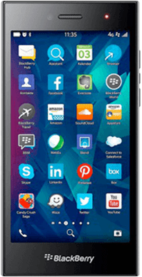 Blackberry Leap