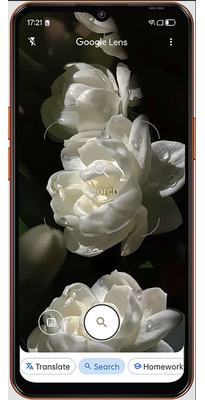 Blackview Wave 7C