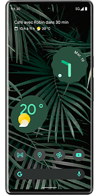 Pixel 6 Pro